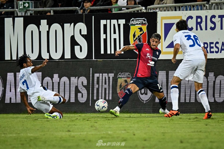 地组织和推 地组织和推